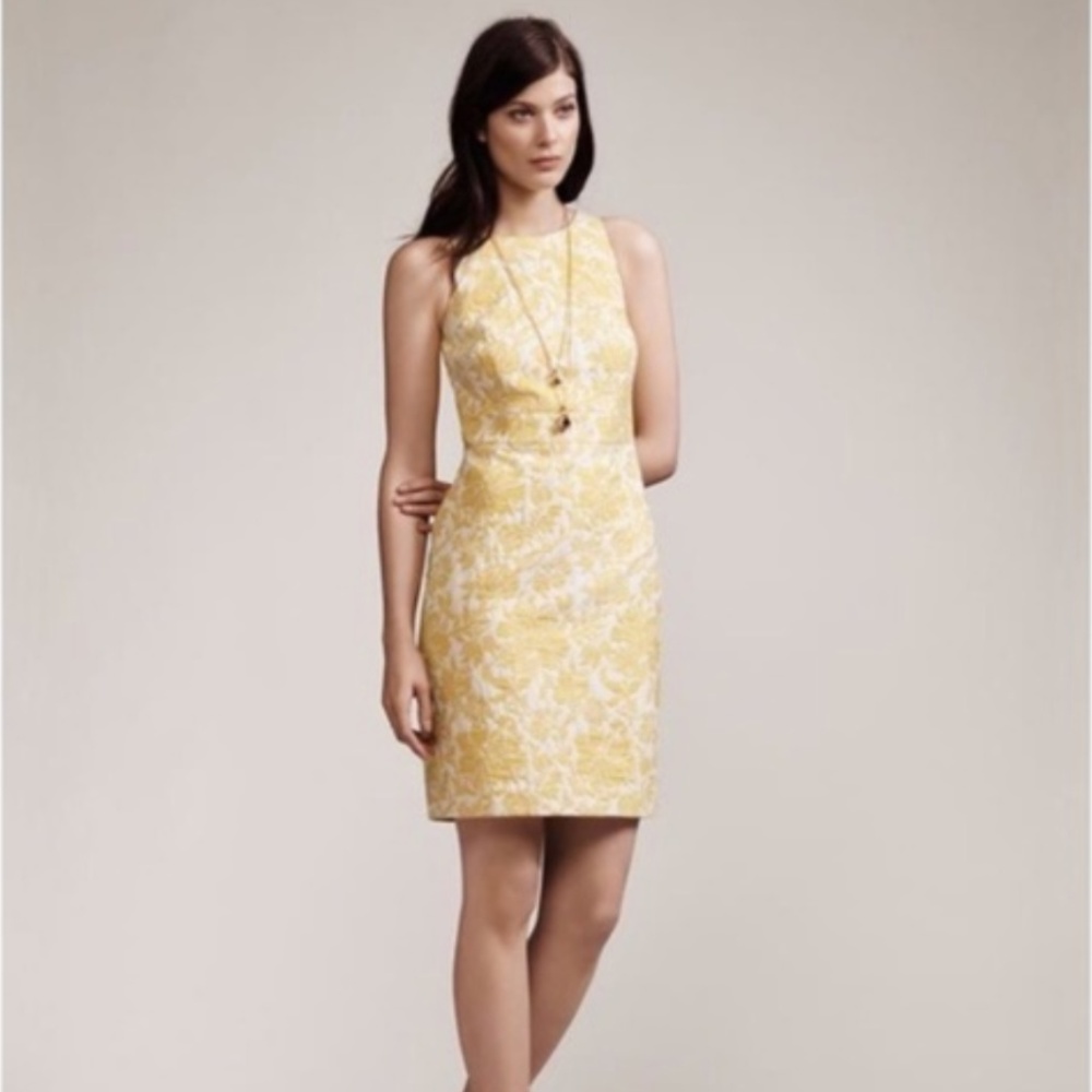 Ann Taylor Jacquard Printed Dress NEW